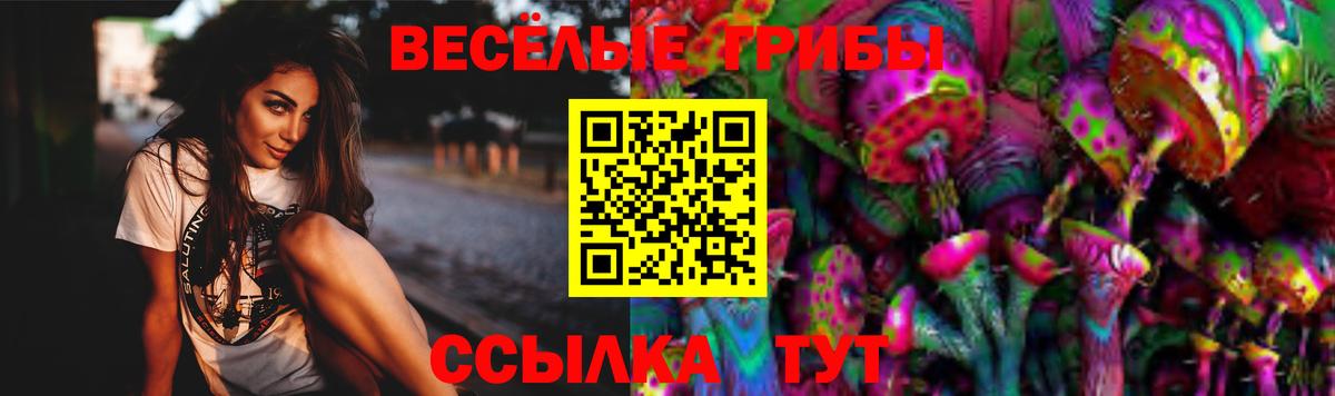 Псилоцибиновые грибы Psilocybe Истра